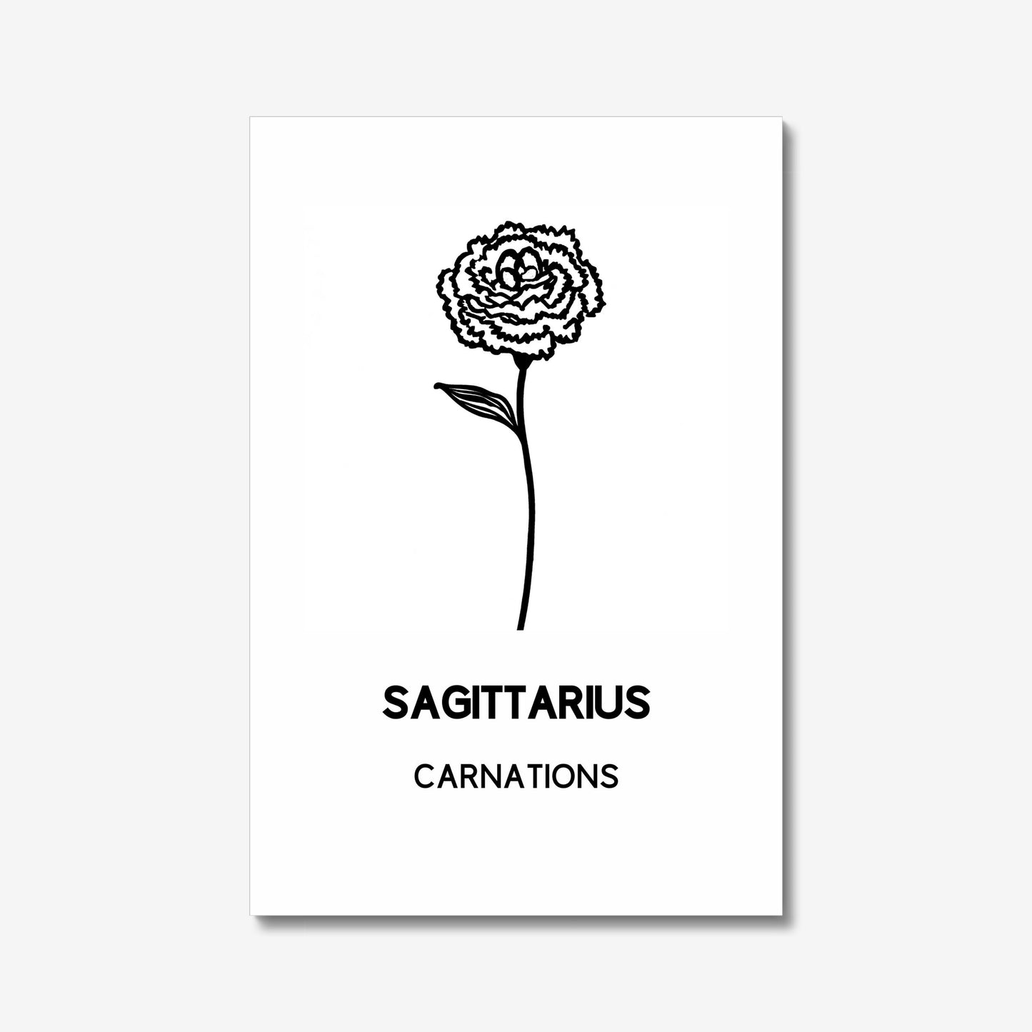 carnation floral wall art