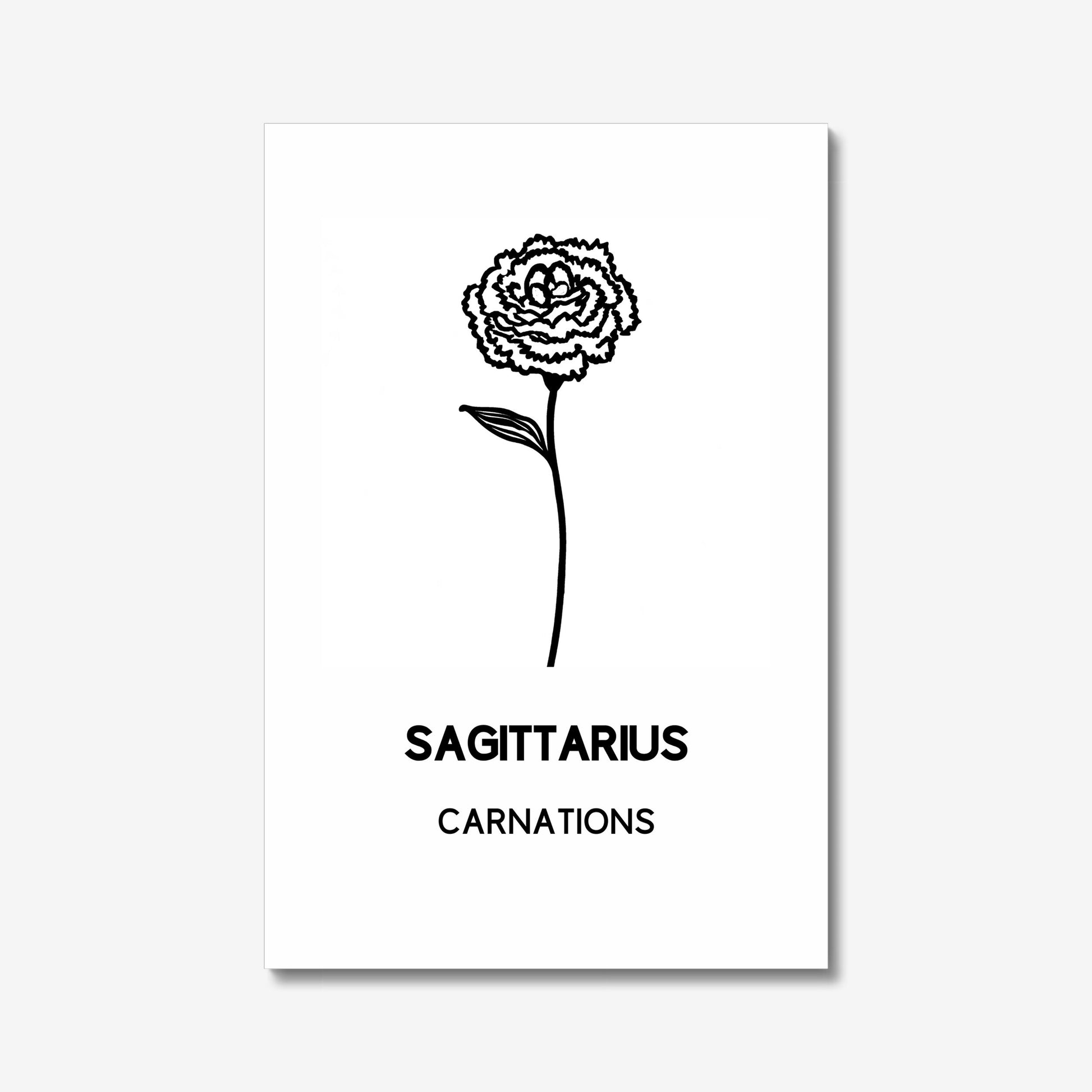 carnation floral wall art