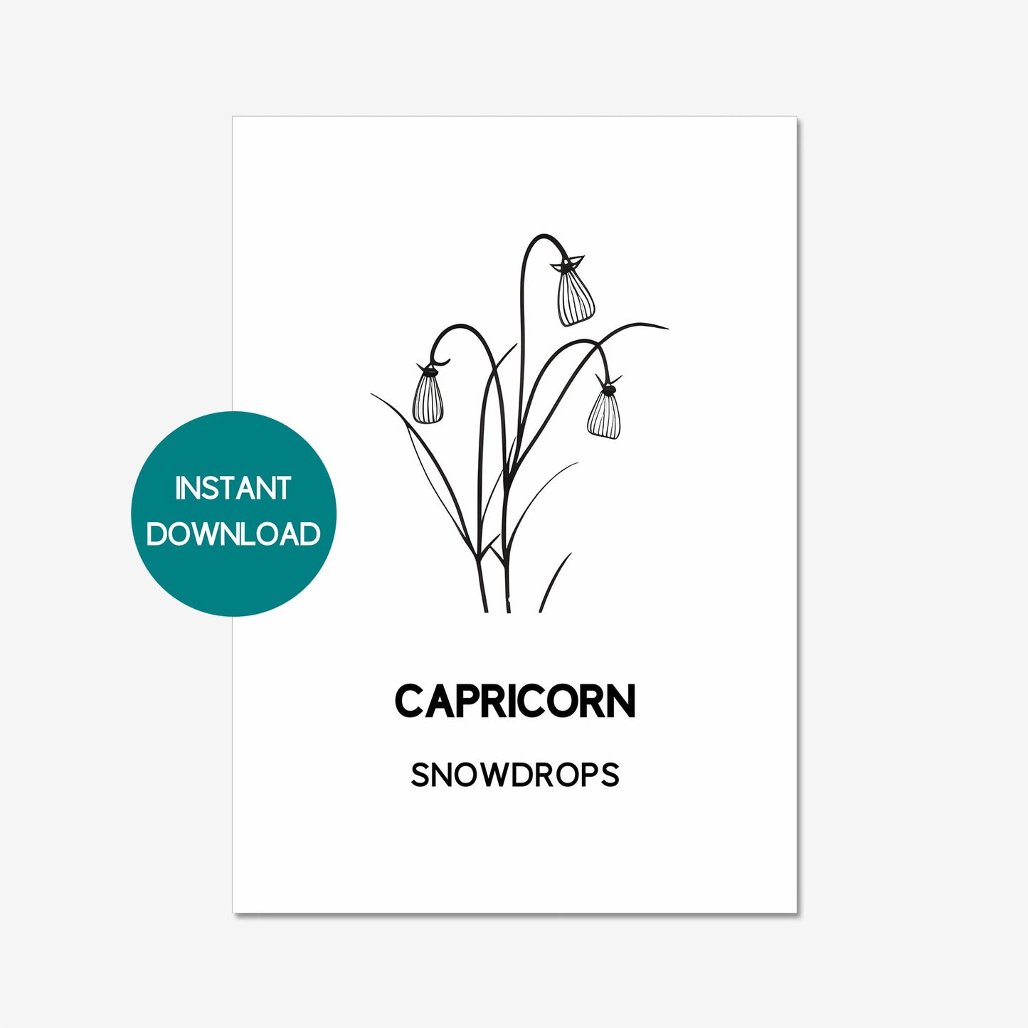 capricorn zodiac birth flower printable