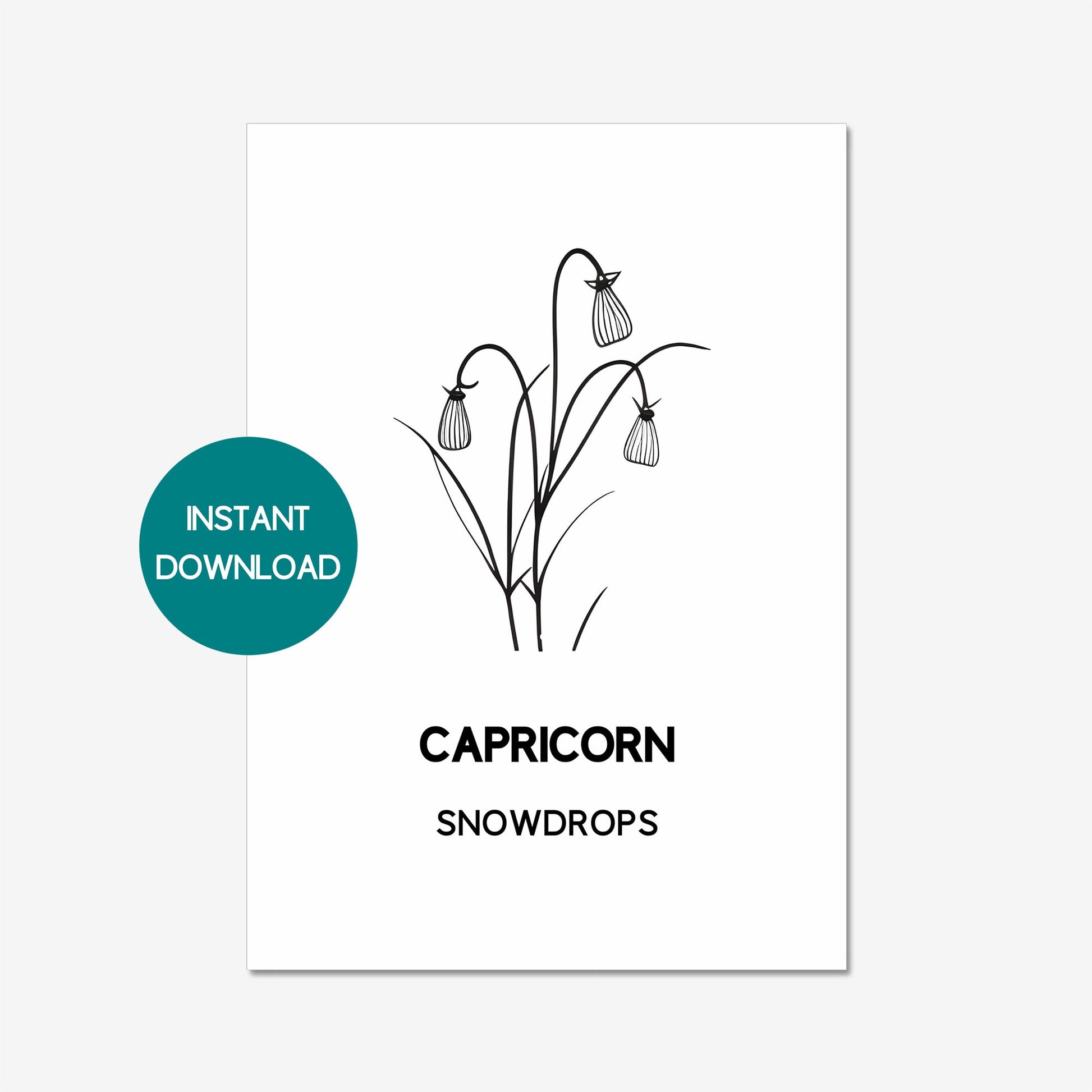 capricorn zodiac birth flower printable