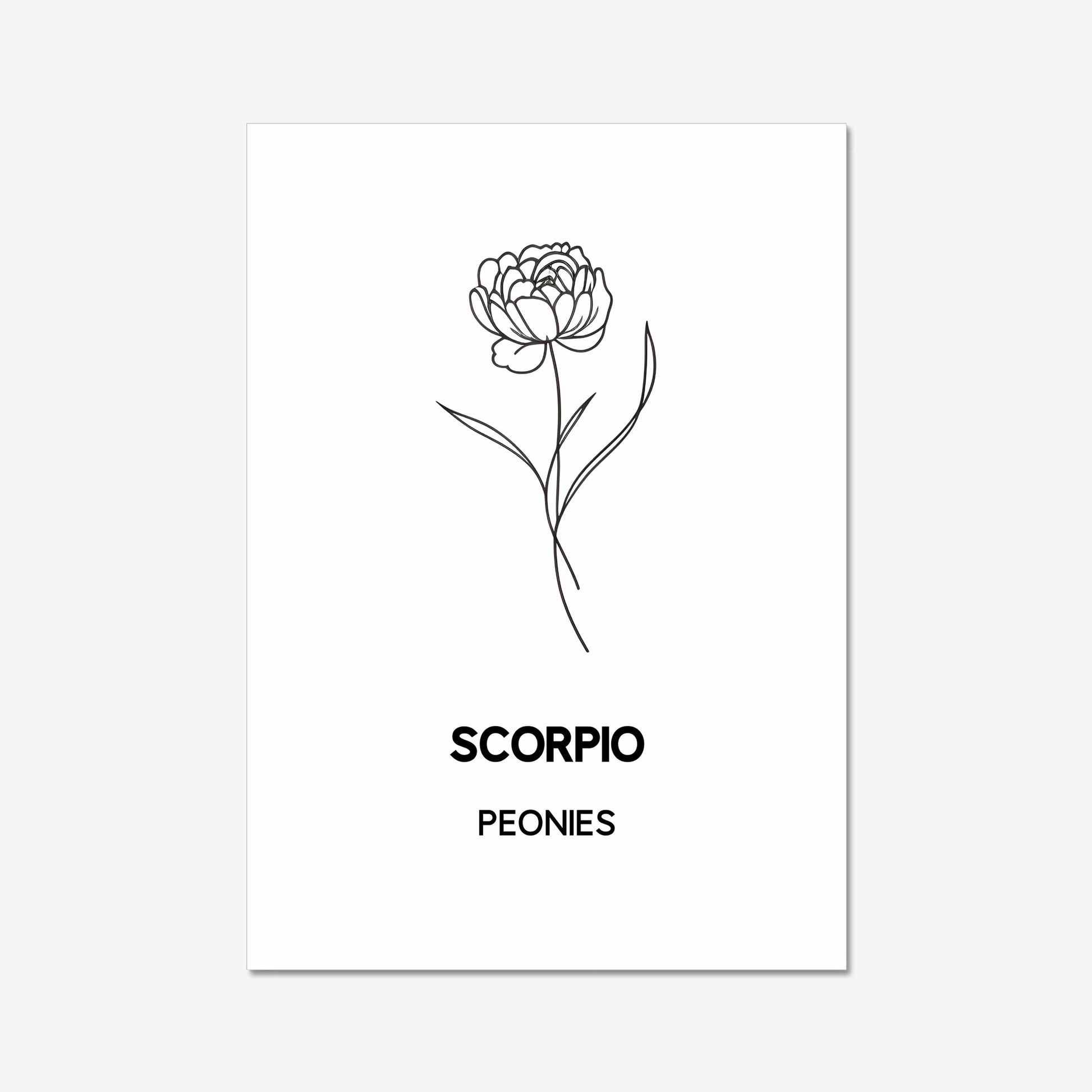 scorpio zodiac birth flower print