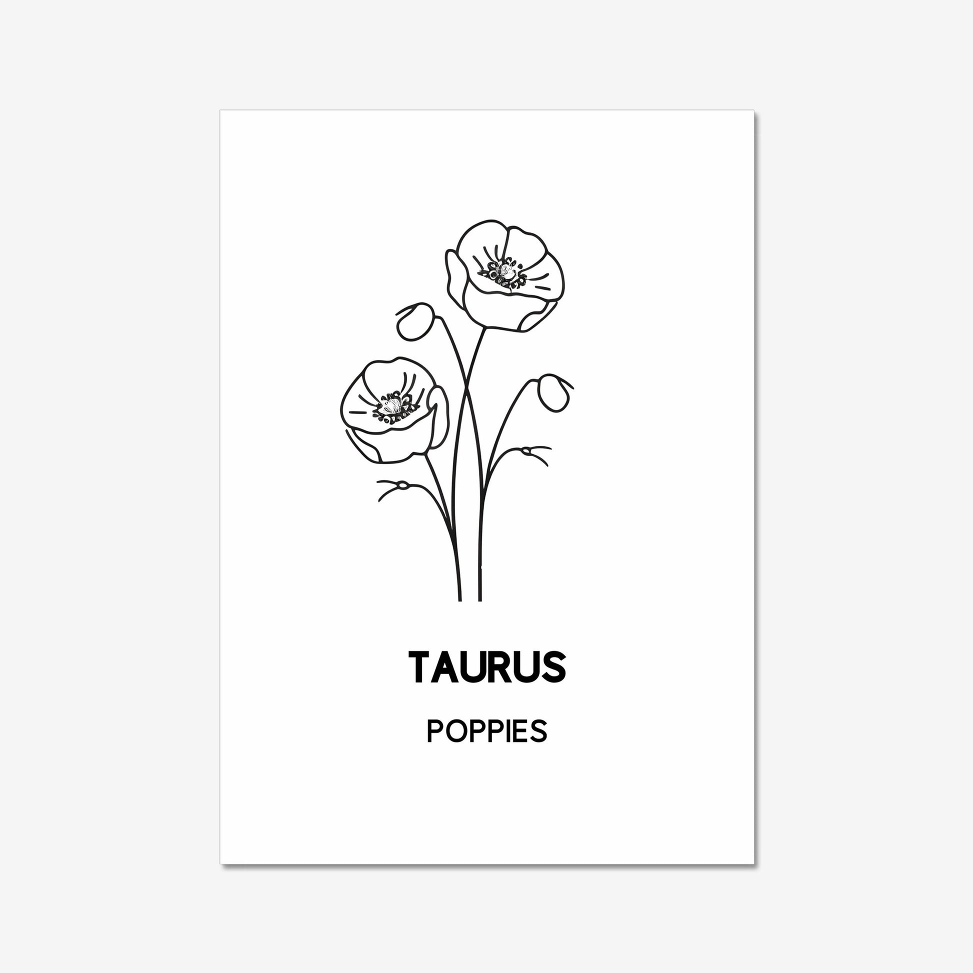 minimalist poppy floral line art