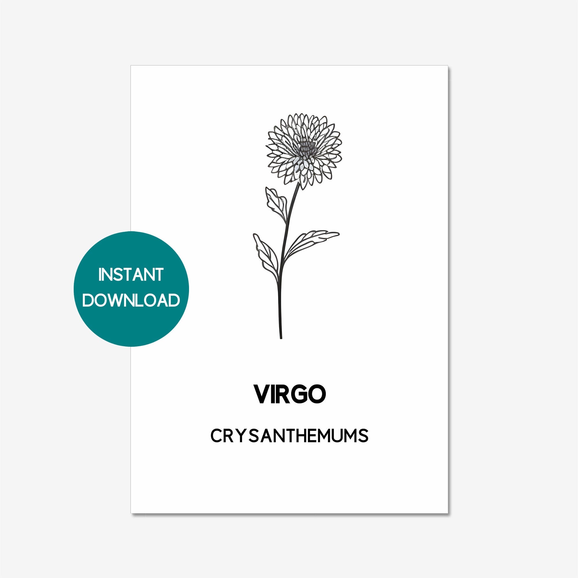 VIRGO Zodiac Birth Flower Print CRYSANTHEMUM Digital