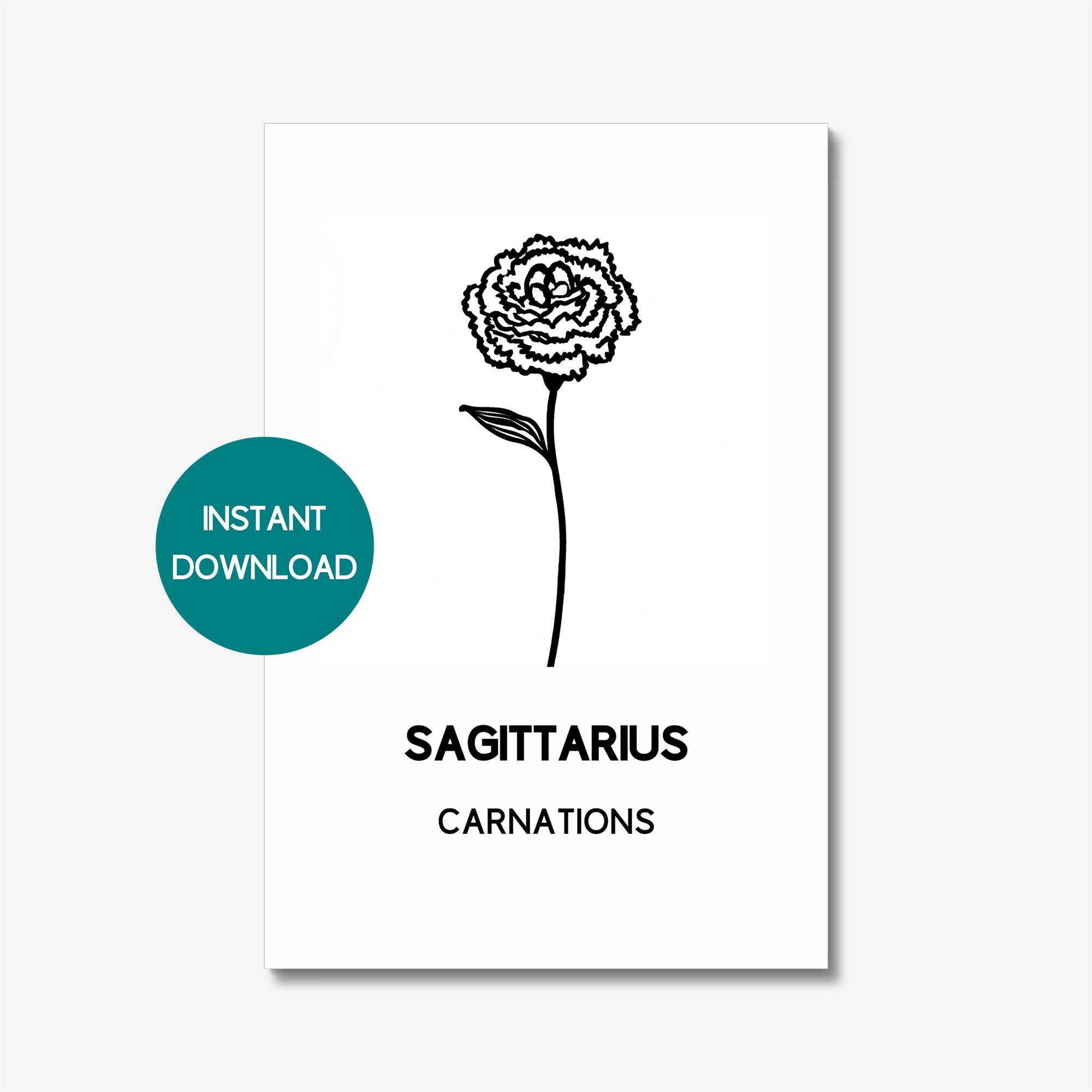 SAGITTARIUS Zodiac Birth Flower Print CARNATION Digital Download