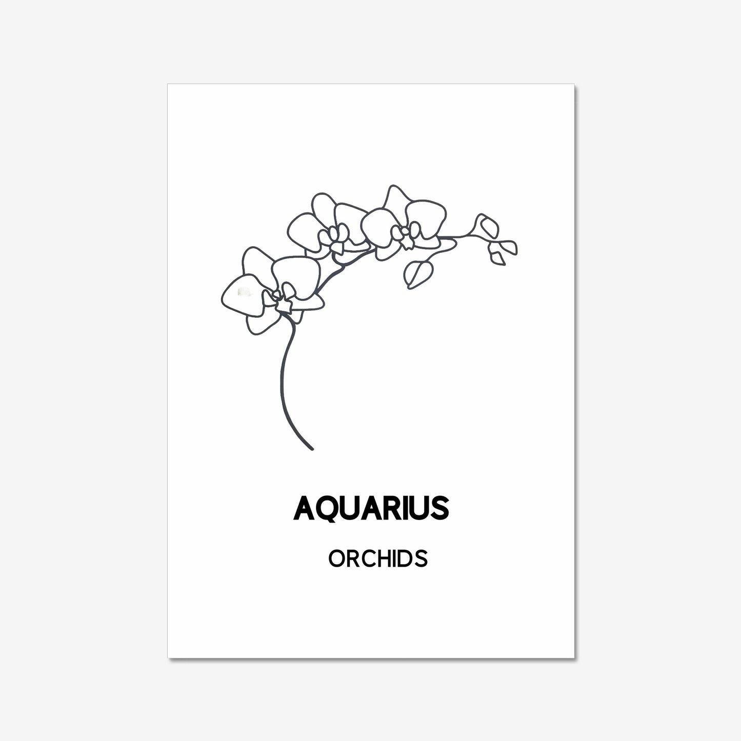 minimalist zodiac birth flower wall art