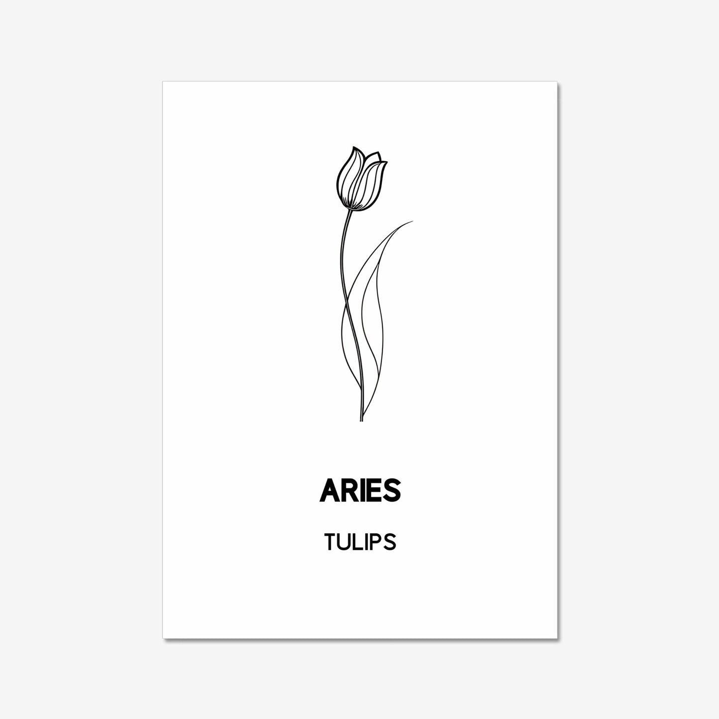 tulip floral artwork